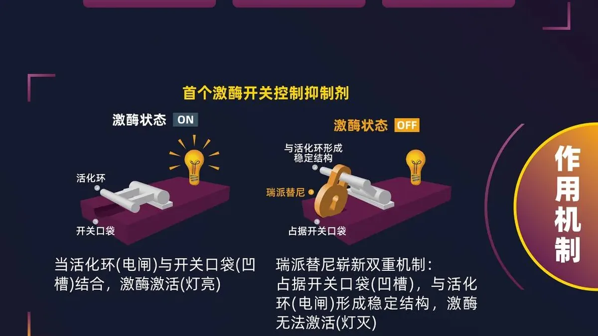 医生向患者展示瑞派替尼药品包装，解释进口药和国产药的区别